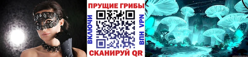 Галлюциногенные грибы GOLDEN TEACHER  купить   Челябинск 